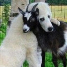 Timofey, 32, Саратов, Россия