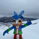 Andrey, 26, Белогорск, Россия