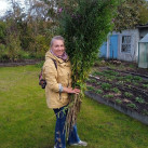 Ася, 58, Москва, Россия