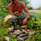 Сергей, 60, Котово, Россия