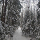 Мария, 59, Зеленоград, Россия