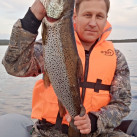 Дмитрий, 44, Мончегорск, Россия