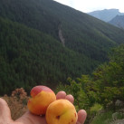 Арсен, 50, Махачкала, Россия