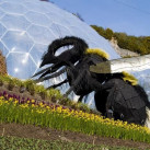 Татьяна, 34, Санкт-Петербург, Россия