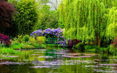 Сад Клода Моне