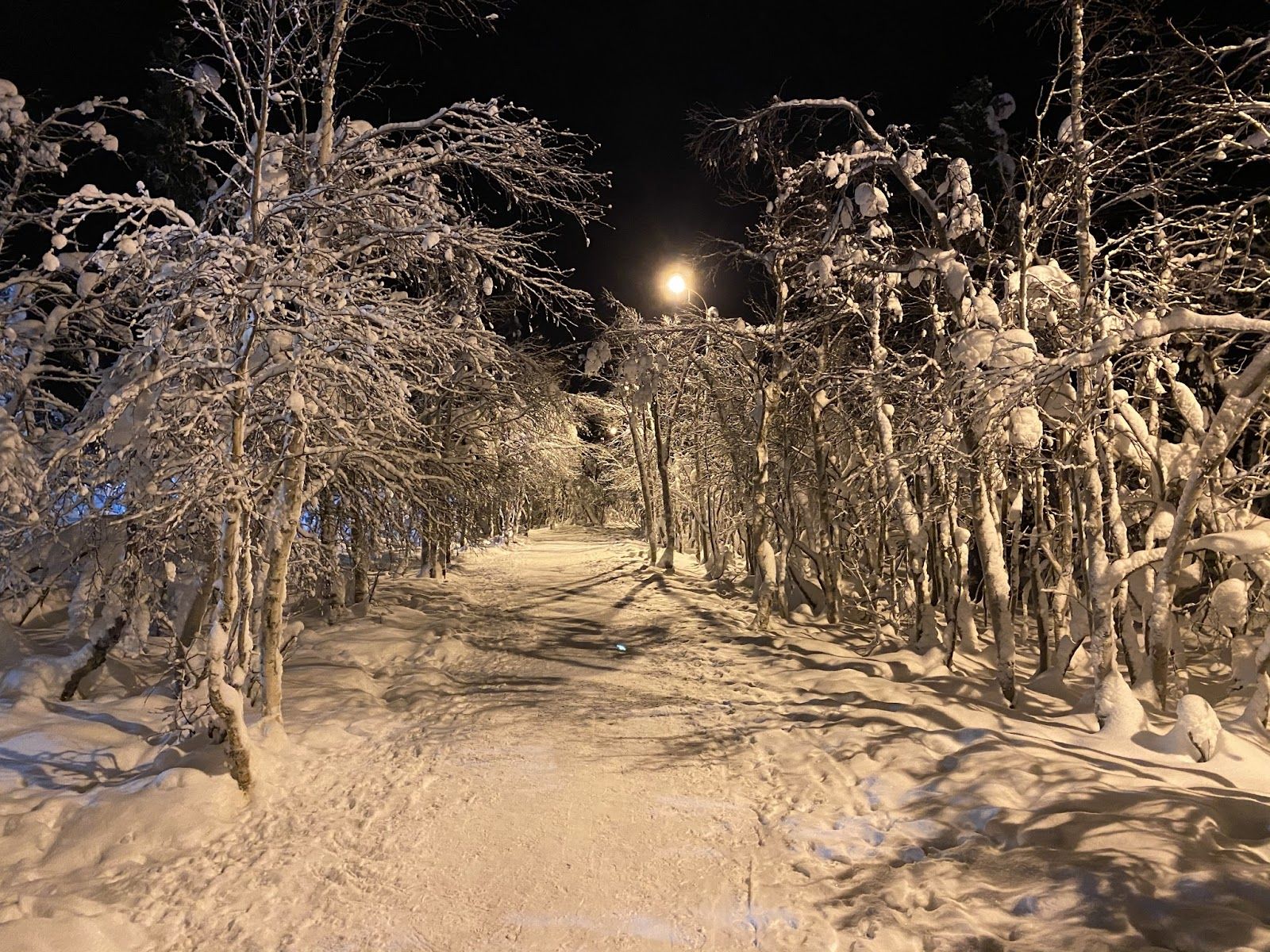 Городской парк Кировска