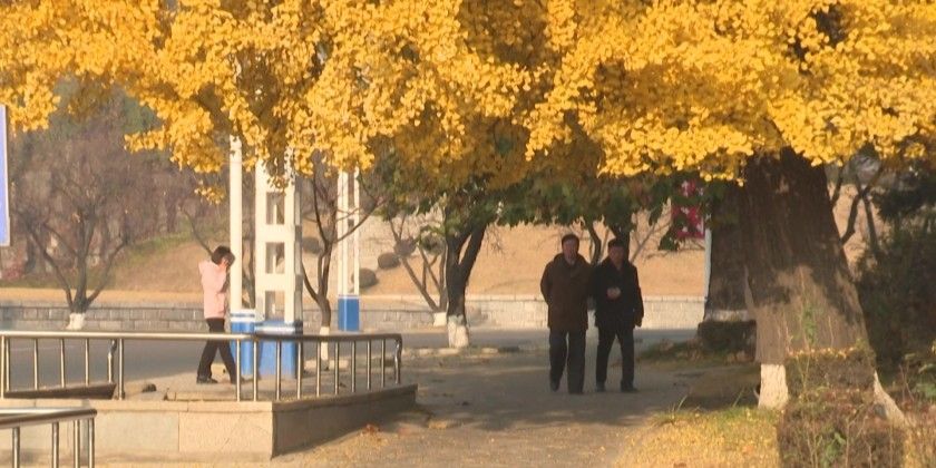 Прогулки людей по осеннему парку в Пхеньяне (КНДР)