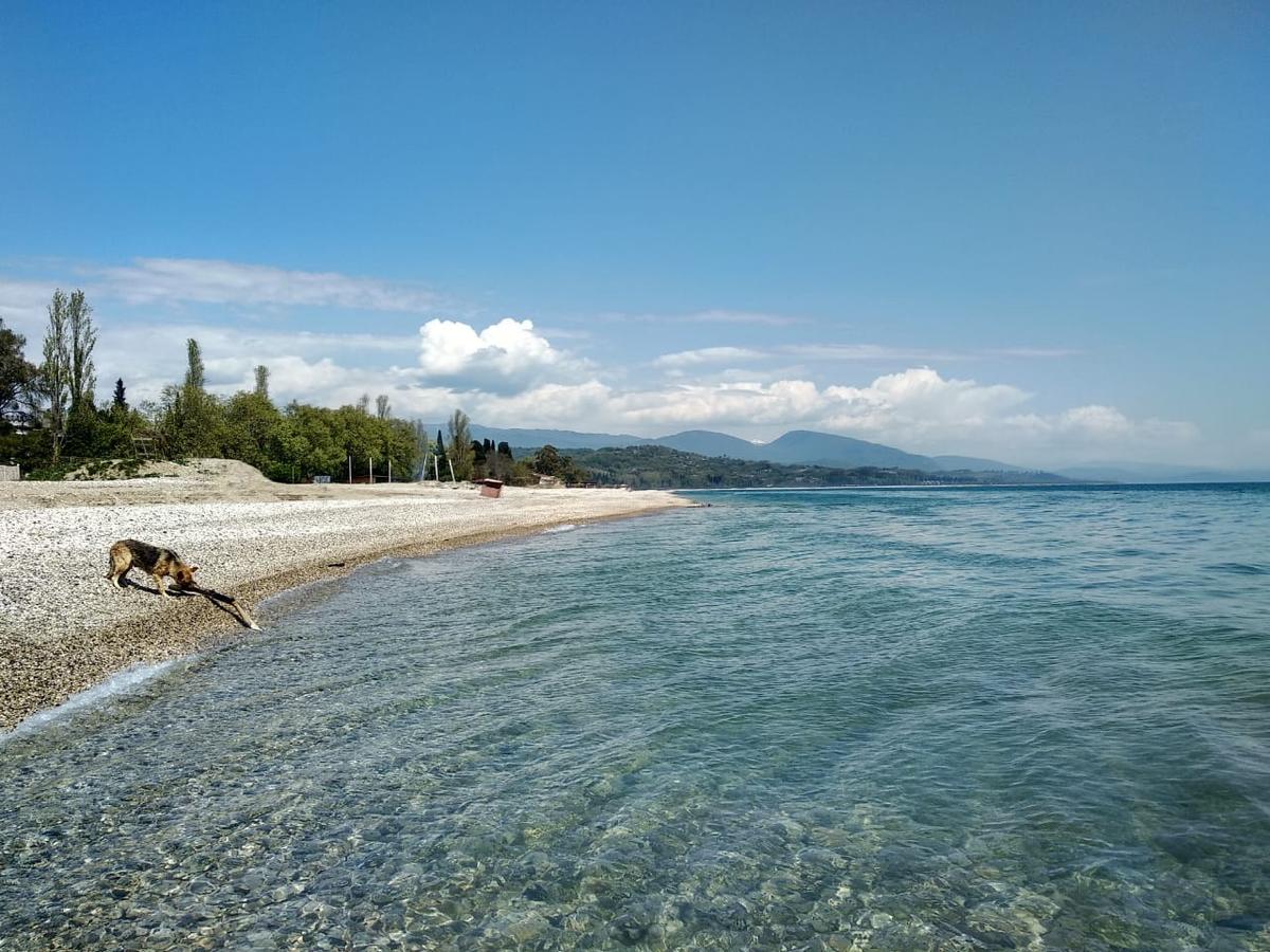 золотой берег в гудауте