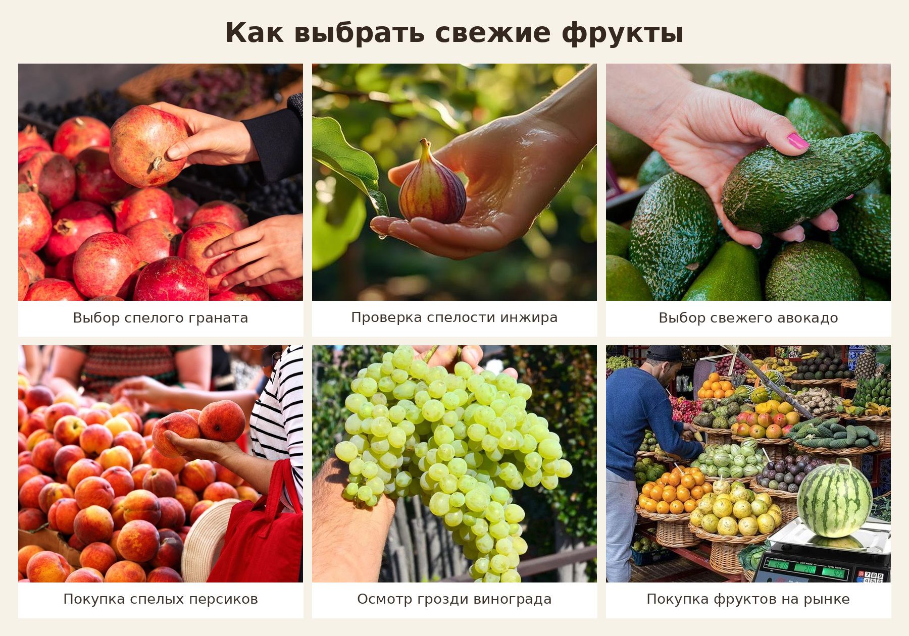 Фруктовый выбор