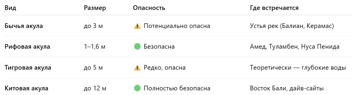Какие акулы бывают у Бали?