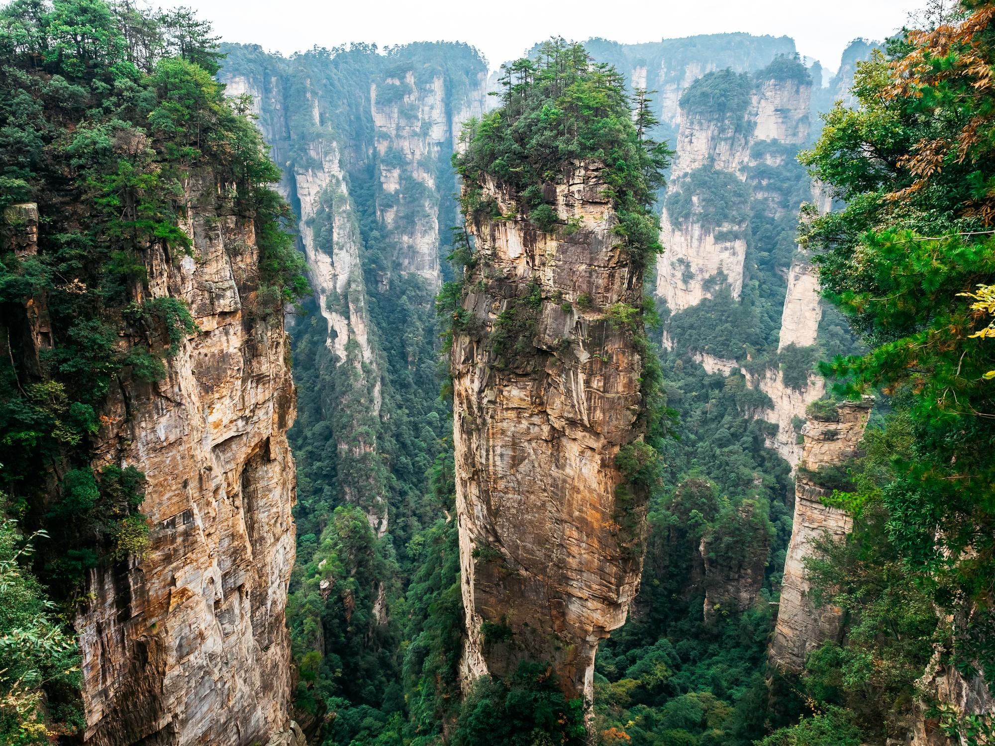 Скала «Avatar Hallelujah Mountain» — гора, вдохновившая парящие скалы Пандоры (Китай)