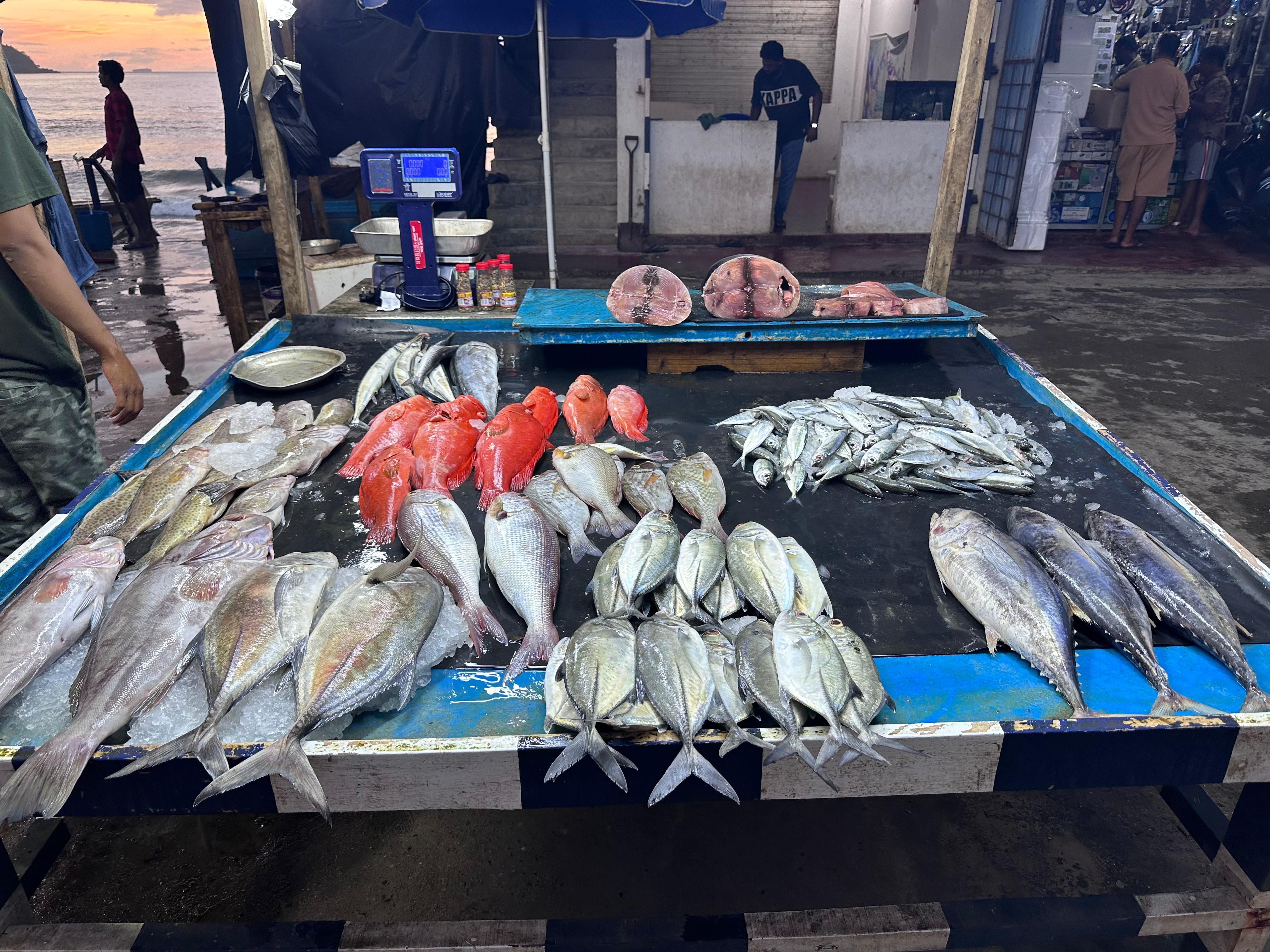 Свежая рыба от рыбаков