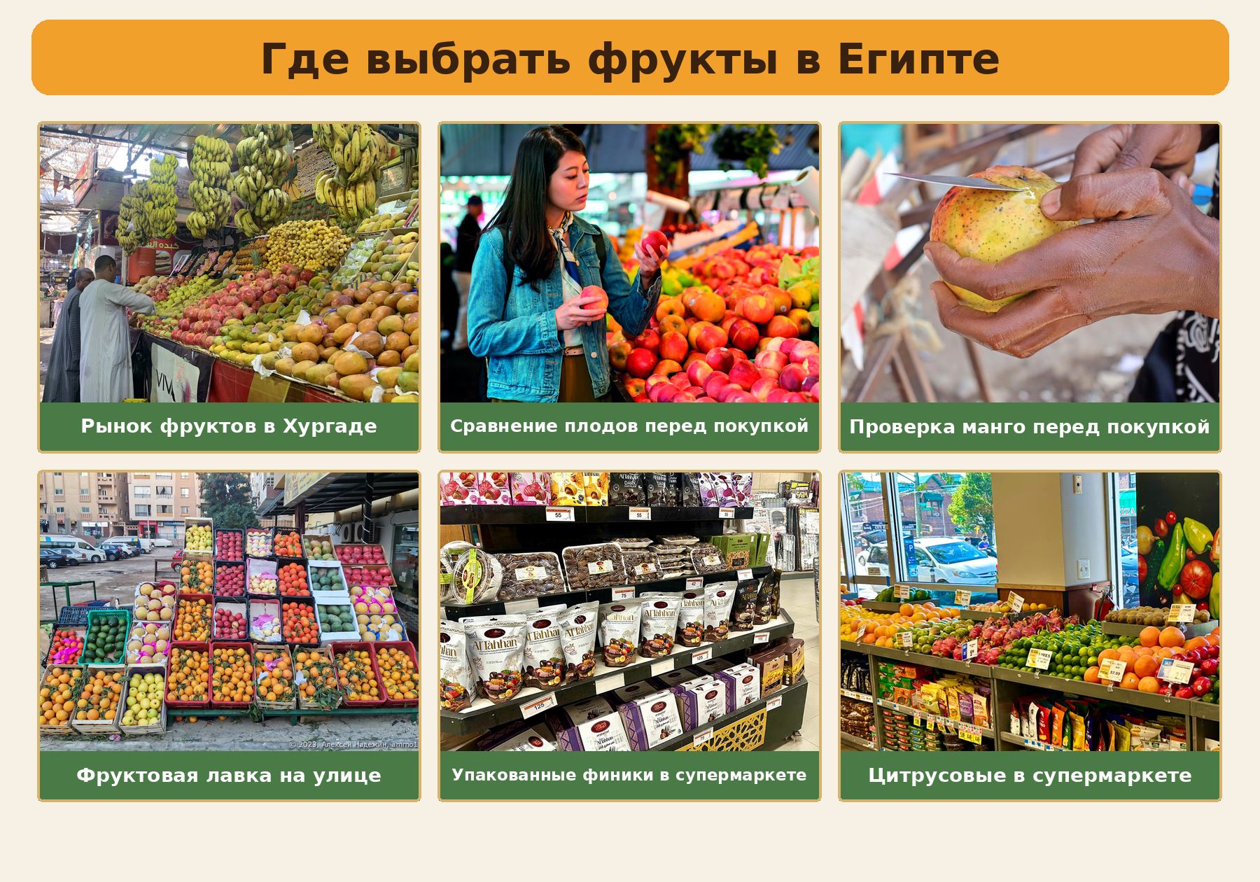 Фруктовый шопинг