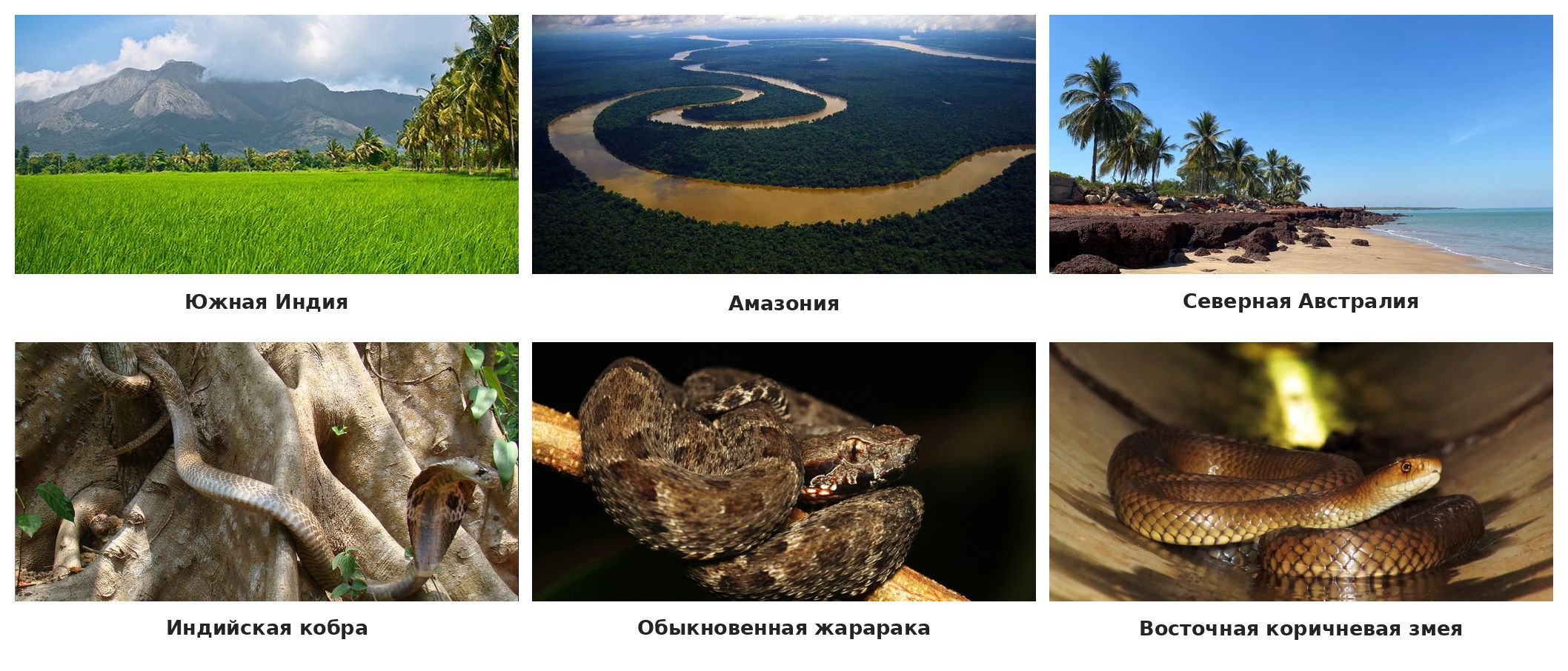 Опасные регионы