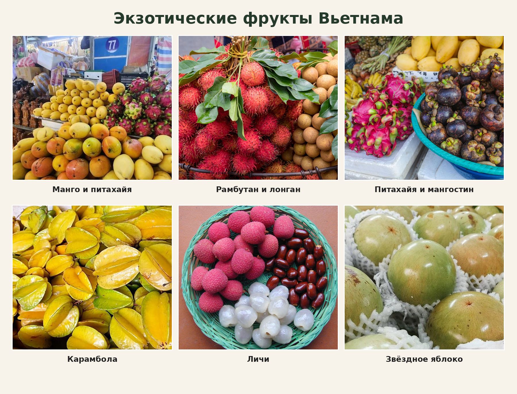 Фруктовое изобилие