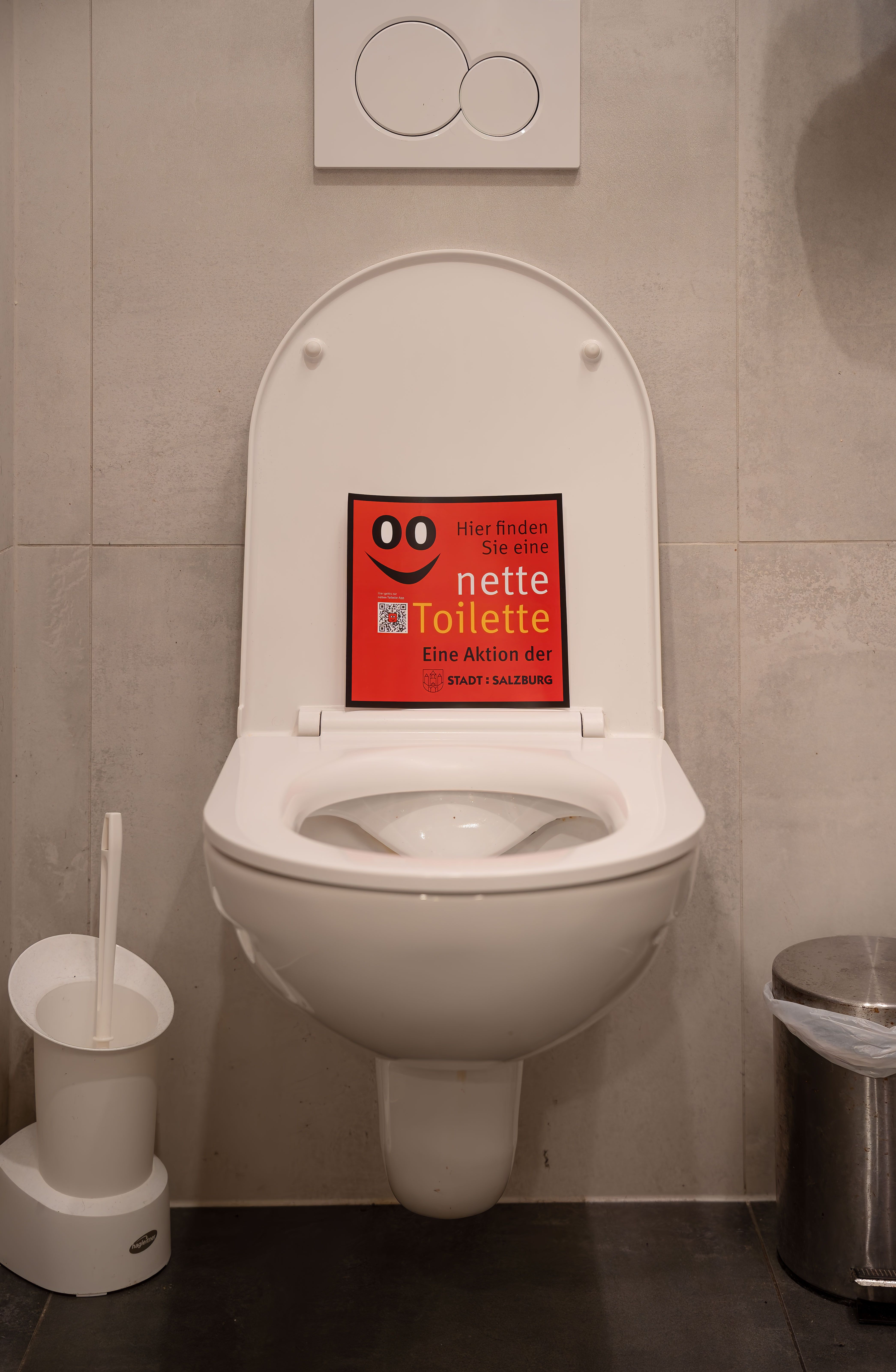 Муниципальный проект Nette Toilette