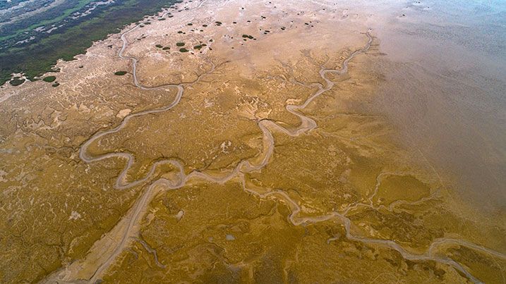 Илистые участки у воды Жёлтого моря (КНДР)