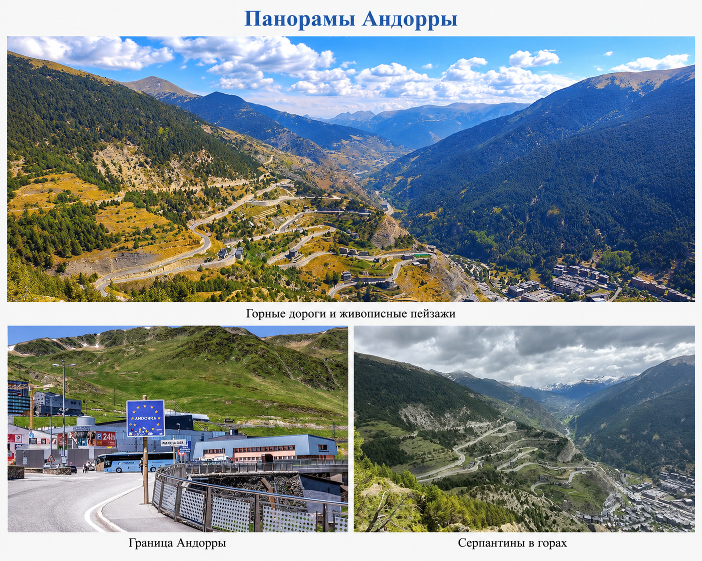 Альпийские виды