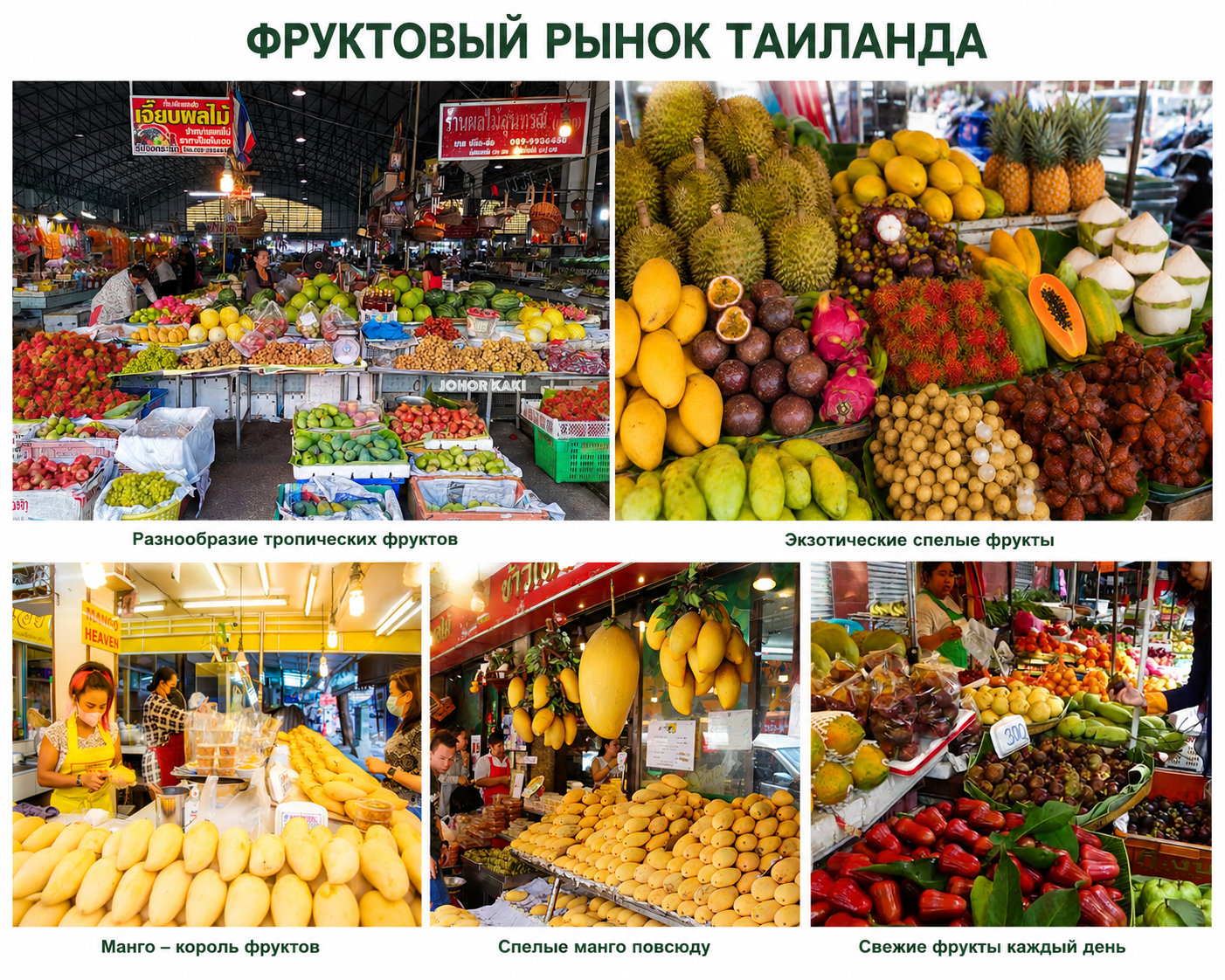 Яркие вкусы