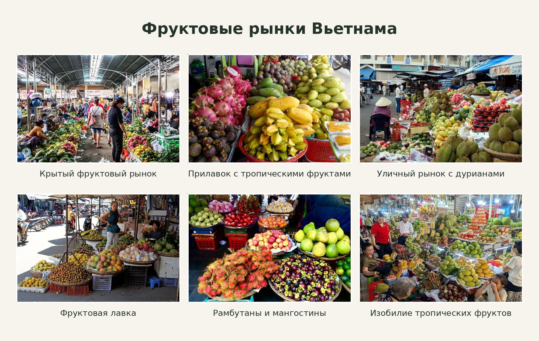 Тропическое изобилие