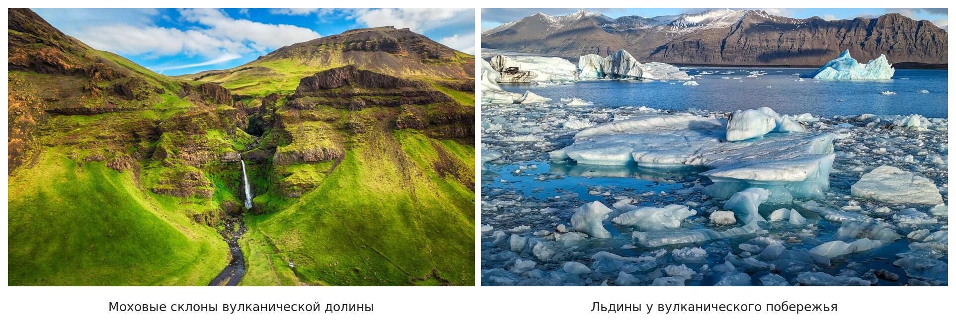 Мох и лёд