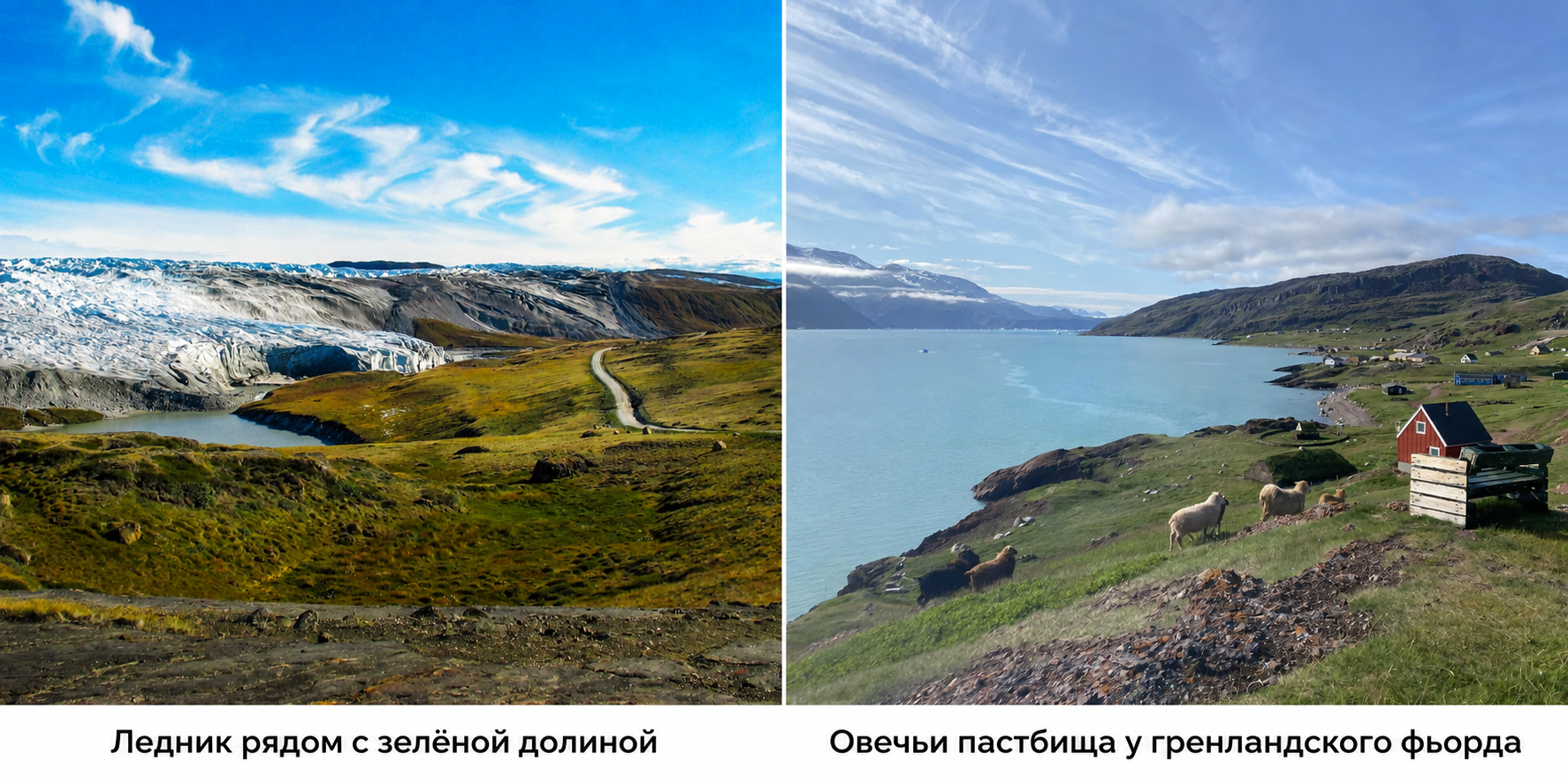 Зелёная Гренландия