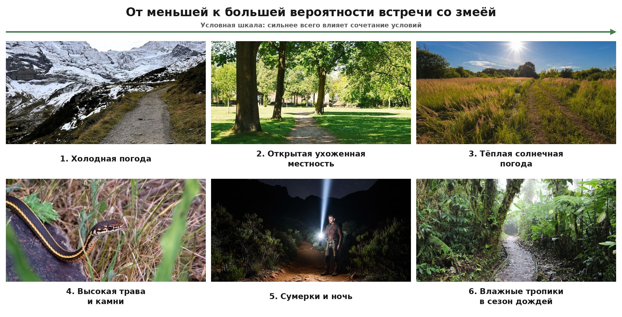 Факторы встречи со змеёй