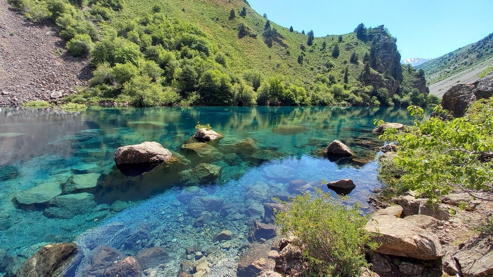 Урочище Арча-Камыш