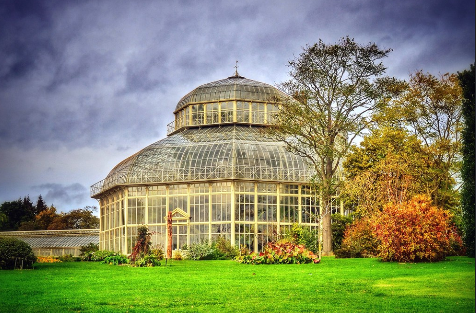 Ботанический сад был основан в Дублине в 1795 году