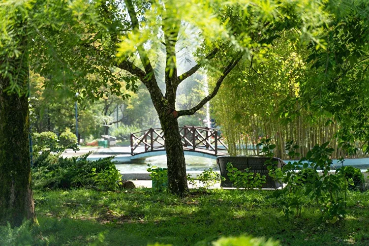 ODISSEYA Wellness Resort 