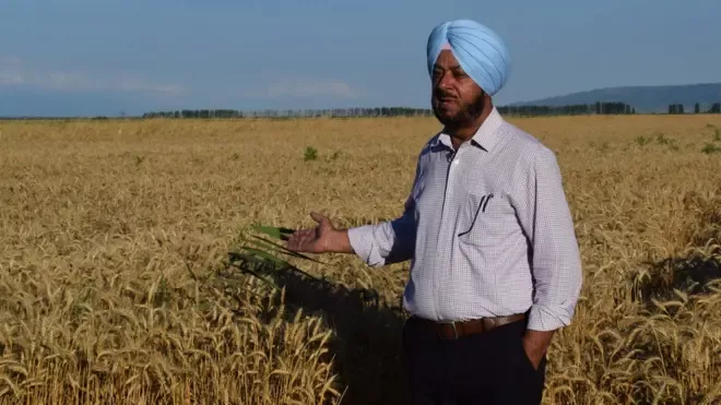 Почему в Грузии много индусов