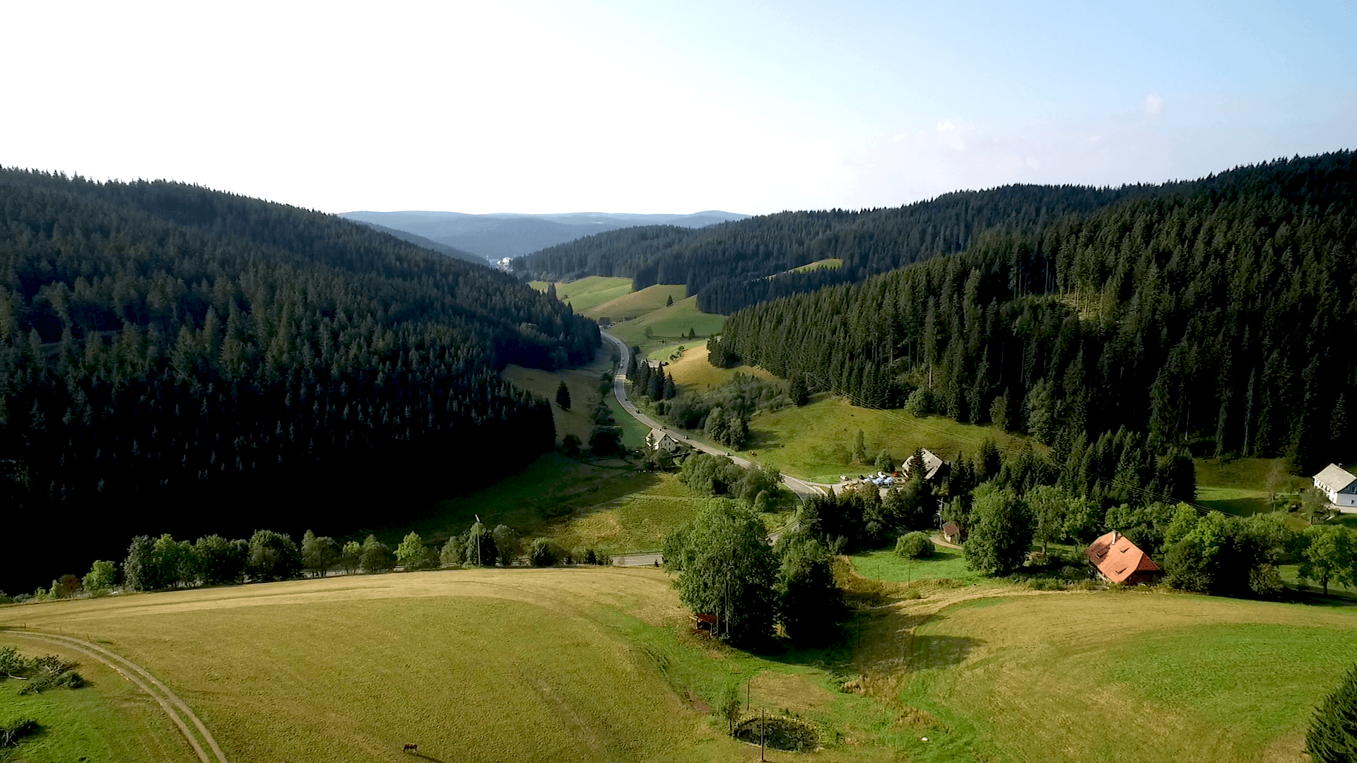 Шварцвальд нем. Schwarzwald — «чёрный лес»