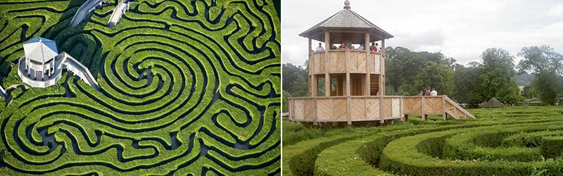 что такое hedge maze. Смотреть фото что такое hedge maze. Смотреть картинку что такое hedge maze. Картинка про что такое hedge maze. Фото что такое hedge maze