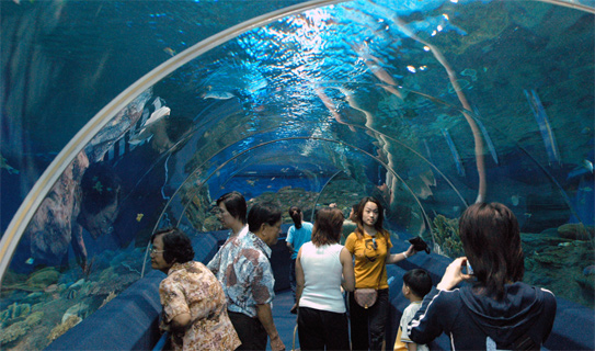 Океанариум &laquo;Подводный мир&raquo; (Underwater World Pattaya)
