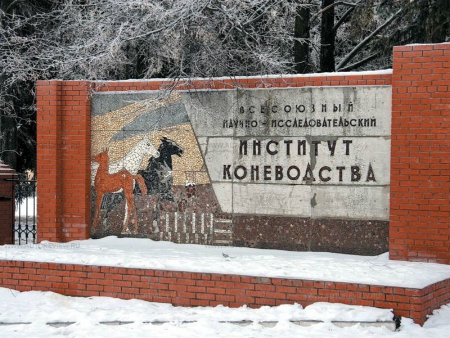 НИИ коневодства
