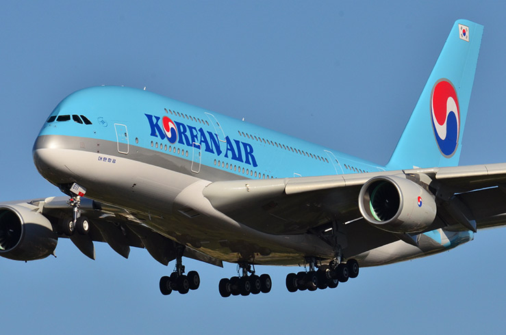 Korean Air сообщила, что будет активно использовать электрошокеры для усмирения буйных пассажиров