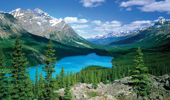 Озеро Пейто (Peyto Lake)