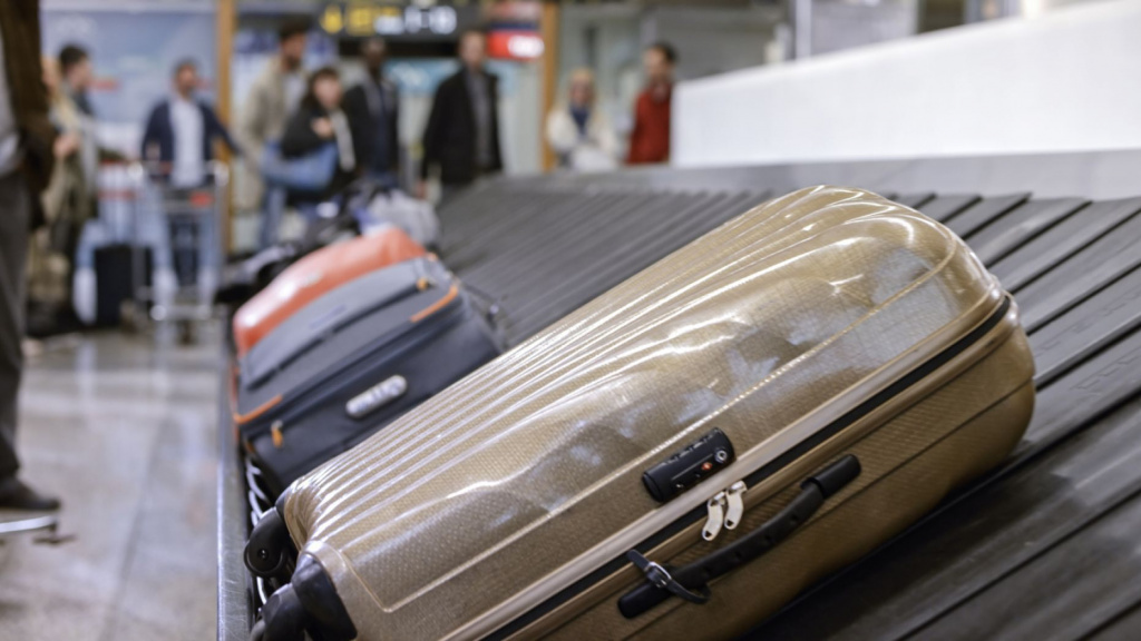 Содержимое чемодана представляло угрозу заражения вирусом африканской чумы свиней, и туристке запретили въезд в Австралию на 3 года