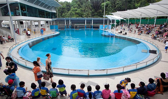 Подводный Мир и Лагуна Дельфинов (Underwater World and Dolphin Lagoon)