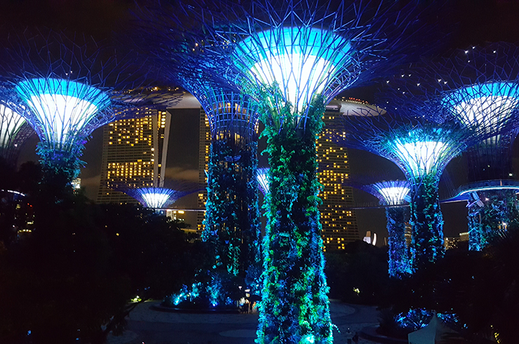 Ночные пейзажи парка Marina Bay Gardens и отеля Marina Bay Sands