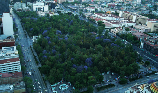 Парк Аламеда (Parque Alameda)