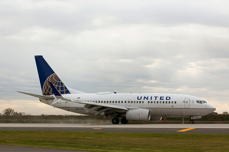 В салоне самолета United Airlines опять нашли скорпиона
