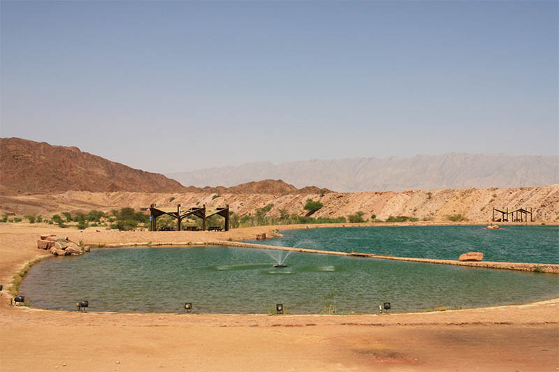 Озеро Тимна