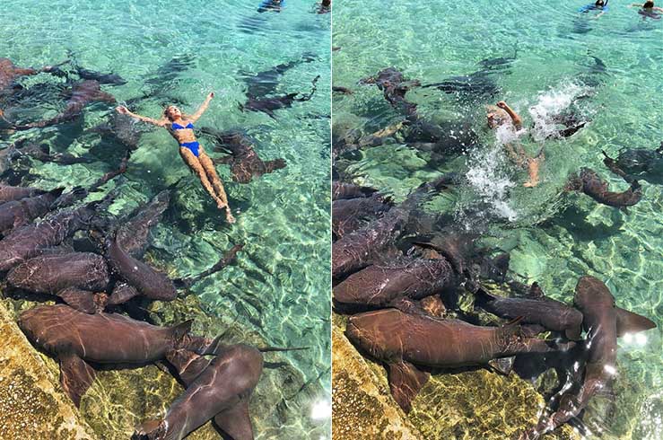 Девушка хотела сфотографироваться с акулой в воде