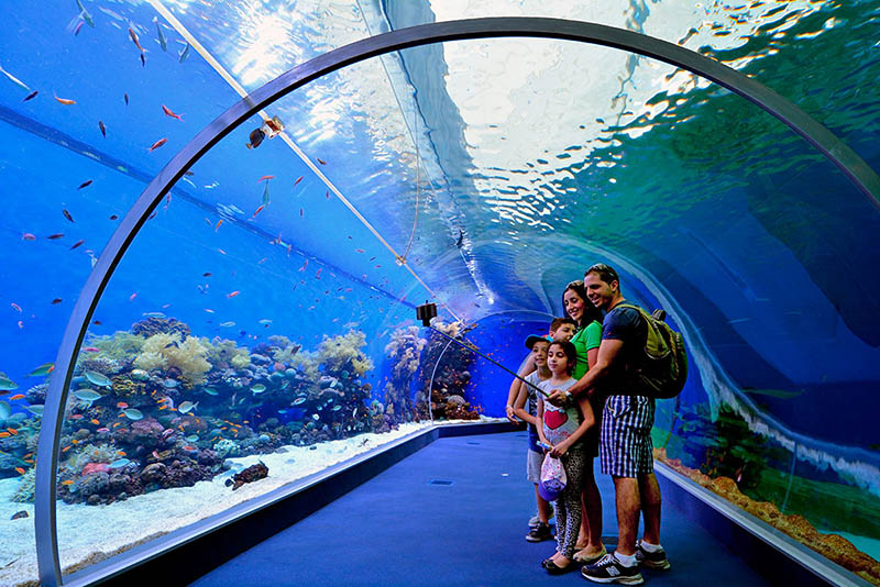 Подводная обсерватория