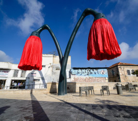 Гигантские цветы на площади Vallero в Иерусалиме