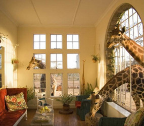 10 самых необычных отелей мира. Часть 2-я.