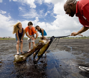 Необычное асфальтовое озеро Пич-Лейк