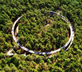 Необычная велодорожка в Бельгии