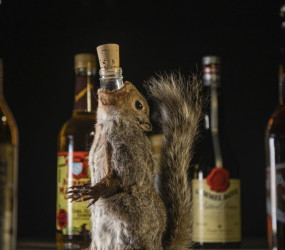 Шведский музей отвратительной еды показал необычный алкоголь